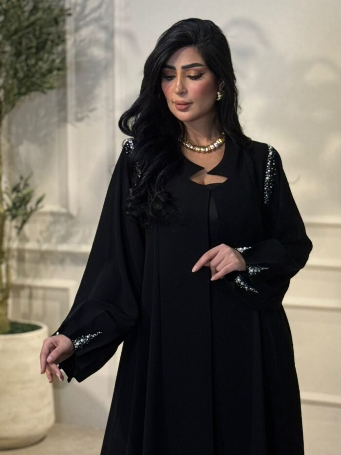 ⁦8L-16⁩ - الصورة ⁦1⁩